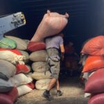 EUDRは農場の近代化を加速させているが、小規模農家への脅威は残る（EUDR is Accelerating Farm Modernization, But Threats to Smallholders Remain）