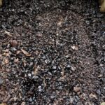 韓国の研究者、湿ったコーヒーかすを90秒でバイオチャーに変換（Korean Researchers Turn Wet Coffee Grounds Into Biochar in 90 Seconds）