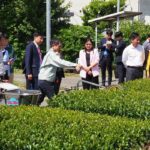 世界的抹茶ブームの「余波」京都でも　国内向け茶不足、煎茶やほうじ茶の価格高騰　専門家に聞く背景