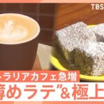 “コーヒー大国”オーストラリアのカフェが急増中　“ワーホリ”帰国者が広める「フラットホワイト」に次期駐日大使も絶賛【Nスタ】｜TBS NEWS DIG