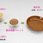 埼玉工業大学　もみ殻を60％含む環境に優しいプラスチック製食器を共同開発