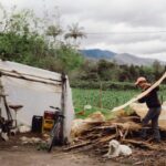 コロンビアの地震、同国のコーヒー輸出の60%を輸送する重要道路に被害を与える（Colombian Earthquake Damages Road Essential for Transporting 60% of the Country’s Coffee Exports）