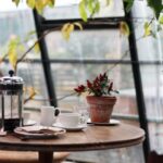 #PR #ネスレ #ネスカフェクーラー #コーヒーなのにフルーティー #新感覚コーヒー | TikTok