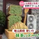 世界的な抹茶ブームで“争奪戦"に? 中国で生産量が急拡大…抹茶のテーマパークも し烈なシェア争い続く (日本テレビ)