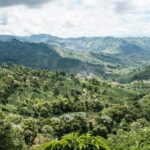 世界中のコーヒーコミュニティが地震後のコロンビア人をどのように支援しているか（How the Global Coffee Community Is Supporting Colombians After the Earthquake）