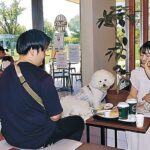 タリーズコーヒーで「わんこカフェ」