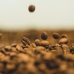 ネスレベトナム、コーヒー輸出に向けた生産能力を強化（Nestlé Vietnam beefs up production capacity for coffee exports - Vietnam Investment Review - VIR）
