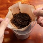 コーヒーかすは、罠や殺虫剤、化学薬品を使わずにアリを撃退するのに役立つかもしれない（Leftover coffee grounds could help curb ants without traps, bait, or chemicals）