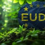 EUはEUDR（欧州データ保護規則）に関する新たなガイダンスを発表 - Vietnam.vn