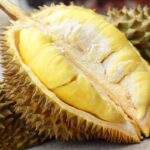 磯爺 より 中国のドリアンブーム、ベトナム農家が大繁盛！…コーヒーの代わりにドリアン栽培へ へのコメント