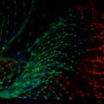 新しい研究、機械学習を通じてアラビカ種とロブスタ種のコーヒー価格を2〜6ヶ月前に予測（New Study Explores Forecasting Robusta and Arabica Coffee Prices 2 to 6 Months in Advance Through Machine Learning）