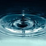 ブルーウォーター、スペシャルティコーヒー向け逆浸透膜水処理技術を発表（Bluewater Showcases Reverse Osmosis Water Treatment Technology for Specialty Coffee Applications）