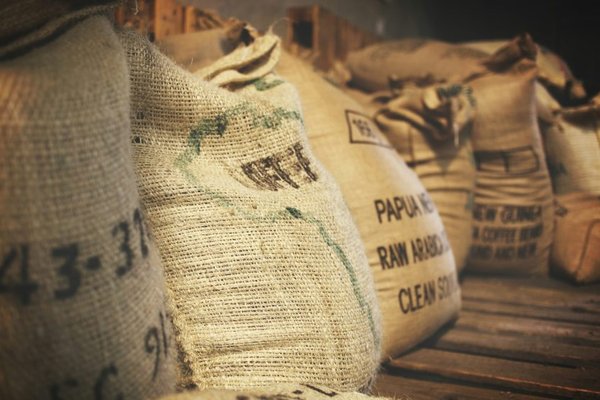 調査：EUDRは非EU圏のコーヒーサプライチェーンにも強制的なコンプライアンスを迫る見込み（Study Suggests EUDR Will Force Compliance Even on Non-EU Coffee Supply Chains）