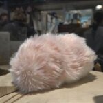 AIペットロボットと触れ合えるカフェ人気　会話などで性格変化　個性は400万通り以上(テレビ朝日系（ANN）)