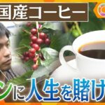 【奮闘】「自分はこのために生まれてきた」ゼロから挑んだ国産コーヒー　元看護師が追い求めた“ロマン”と販売までの苦い道のり（2026年9月13日掲載）｜YTV NEWS NNN