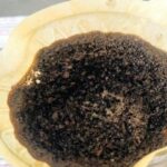 【画像】「抽出後のコーヒーかす、捨ててない？」【消臭から油処理まで】いますぐできる簡単再 ...