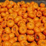 パンプキン・スパイス・ラテは廃れたのか？マクドナルドが秋のメニューから同飲料を除外（Is The Pumpkin Spice Latte Dead? McDonald’s Nixes Drink from Fall Menu）