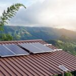 太陽光発電がコーヒー生産をいかに支えるか（How Solar Can Power Coffee Production）