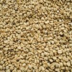 主要なコーヒー団体が責任ある調達に向けて協力体制を構築（Major Coffee Groups Combine Efforts Toward Responsible Procurement）