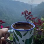 本日は初の公式国連国際コーヒー日。反対票を投じた1カ国を当ててみよう（Today is the First Official UN International Coffee Day. Guess Which One Country Voted Against It）