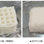 月桂冠と大阪大学、3Dプリンターで麹の構造を設計｜新たな清酒・発酵食品の可能性 - Foovo