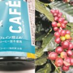 豆不使用の「コーヒー」発売…代替品登場が問い直す、産地に迫る気候変動と生産者の貧困