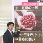 2050年問題 コーヒーが大幅に減少？ “代替コーヒー”が続々【なるほどッ！】 - Infoseek 楽天