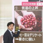 2050年問題 コーヒーが大幅に減少？ “代替コーヒー”が続々【なるほどッ！】（日テレNEWS NNN）