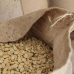 サウジアラビアのアシール州、コーヒー生産のハブへと発展（Saudi Arabia’s Asir Region Develops into Coffee Production Hub）
