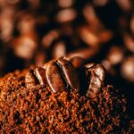 世界12か国のコーヒーを、大学生が焙煎・抽出。神戸で第4回「VOLCAFE COFFEE EXPO 2026 ...
