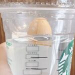 スタバのカップに『アボカドの種』をはめて？　「これは簡単」「初心者でもできそう！」
