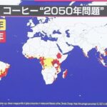 手軽に飲めなくなる？「コーヒー2050年問題」 豆を使わないコーヒーの登場や“おいしく強い”豆の ...