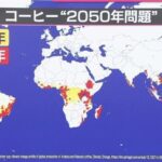 手軽に飲めなくなる？「コーヒー2050年問題」 豆を使わないコーヒーの登場や“おいしく強い”豆の ...