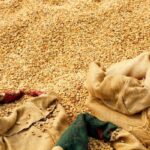 StoneX、コロンビアの生豆加工・輸出業者「Integra」を買収（StoneX Acquires Colombian Green Coffee Processor and Exporter Integra）