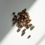 万能な気候耐性を持つコーヒー品種は存在しないかもしれない：最新の研究が示すこと（There May Not Be One “Cure-All” Climate-Resilient Coffee, New Research Shows）