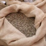 エチオピア、EUの森林破壊防止規則（EUDR）により4億5300万ドルのコーヒー輸出収益失うリスク（Ethiopia Risks $453 Million Loss in Coffee Export Revenue Under EUDR Rule）