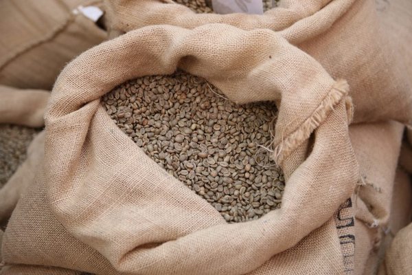 エチオピア、EUの森林破壊防止規則（EUDR）により4億5300万ドルのコーヒー輸出収益失うリスク（Ethiopia Risks $453 Million Loss in Coffee Export Revenue Under EUDR Rule）