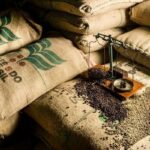 ブラジルの大統領選挙結果を受けコーヒー価格が下落、レアル安が農家の輸出見通しを押し上げ（Coffee Prices Fall Following Brazil’s Election Results, Weakening the Real and Boosting Export Prospects）