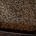 AIコーヒー欠陥検出器、豆をひっくり返すことで大幅に性能向上（AI Coffee Defect Detector Gets Much Smarter When It Flips the Beans）