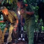 収穫期にコーヒーの収穫を守るために奮闘する。 - Vietnam.vn